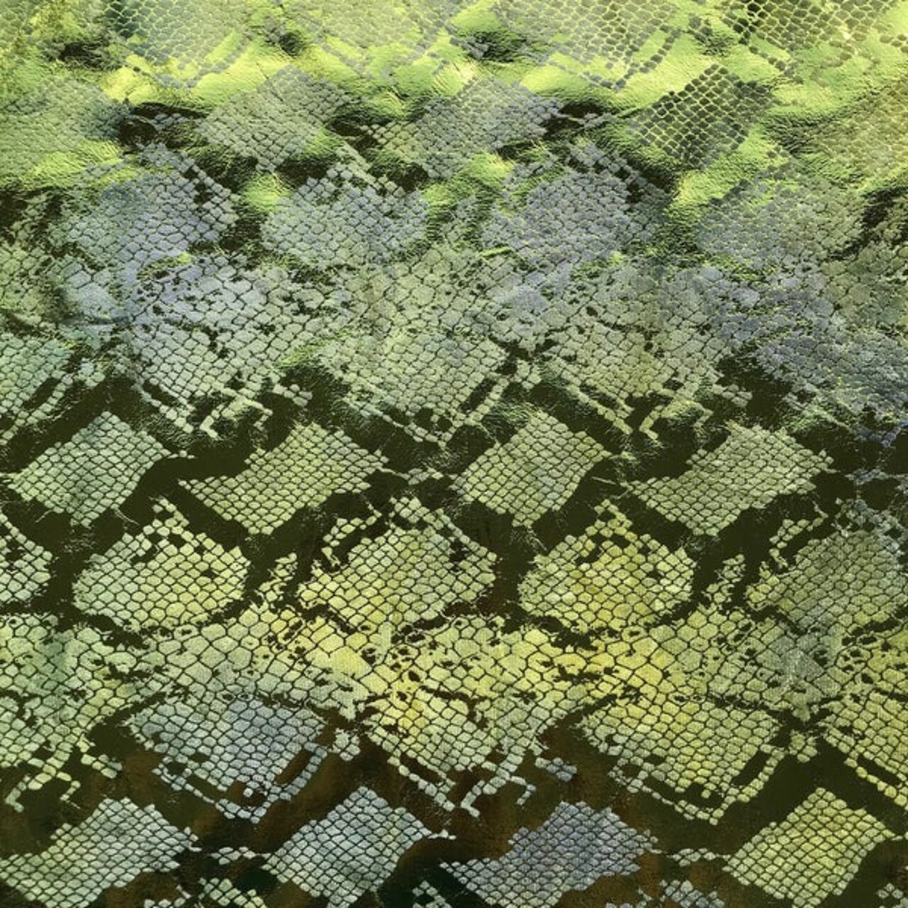 90% Polyester & 10% Spandex Jungle Cobra Foil Printed Stretch Velvet Fabric 55" Width